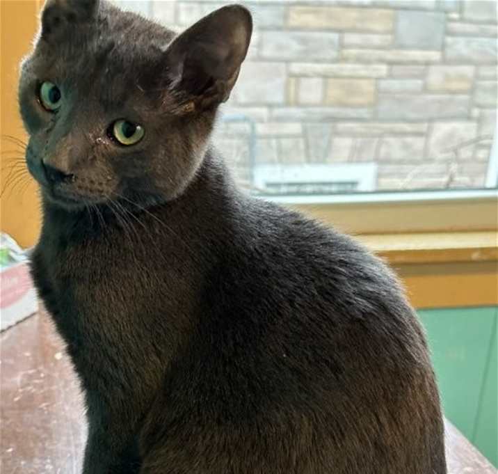Photo of Simon