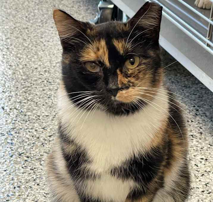 Photo of AGATHA
