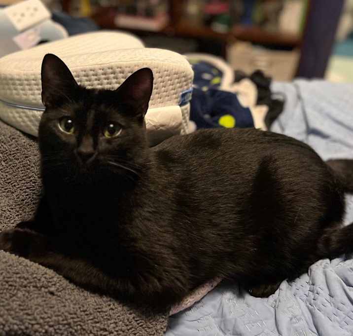 Photo of Boba