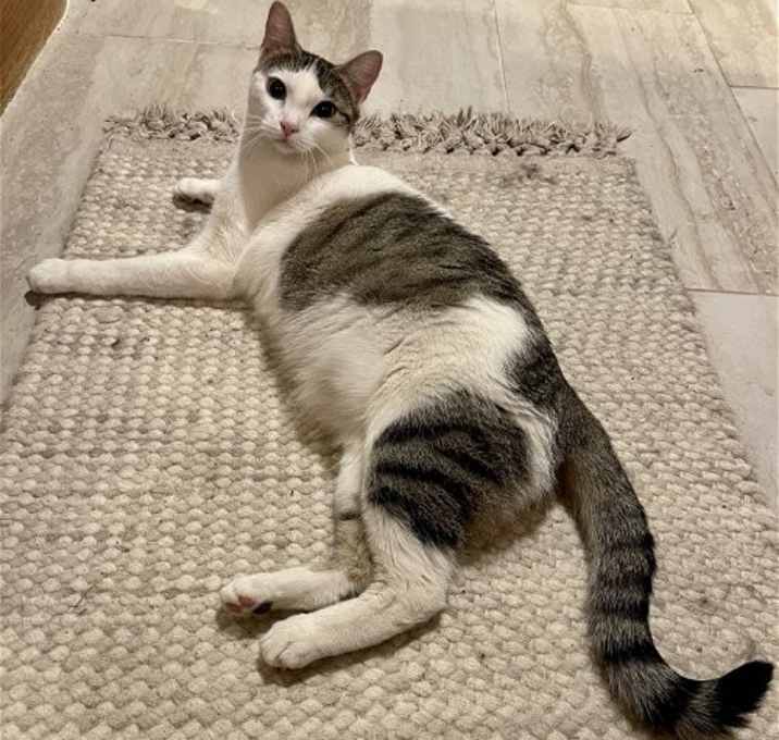 Photo of Dot Dot