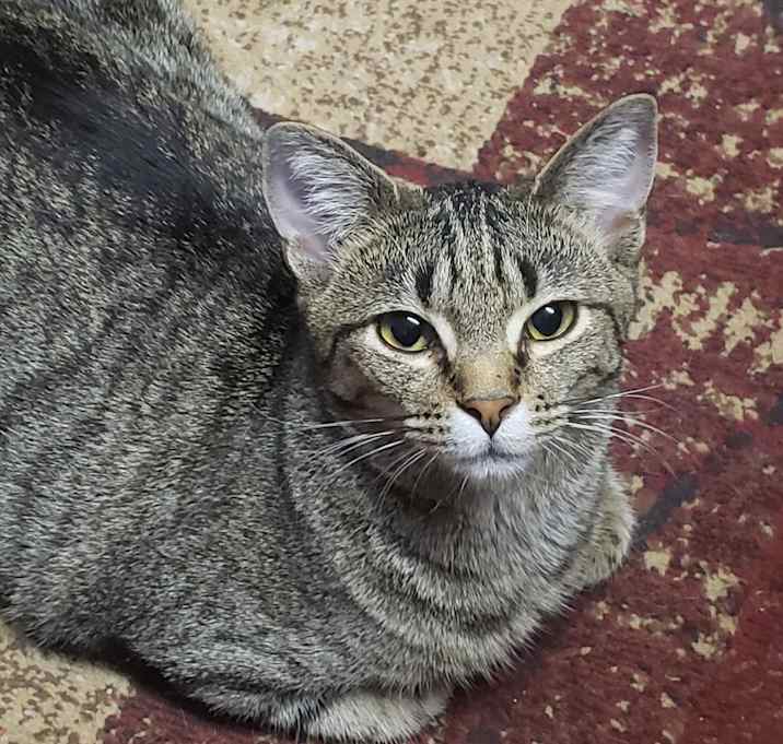 Photo of Roo