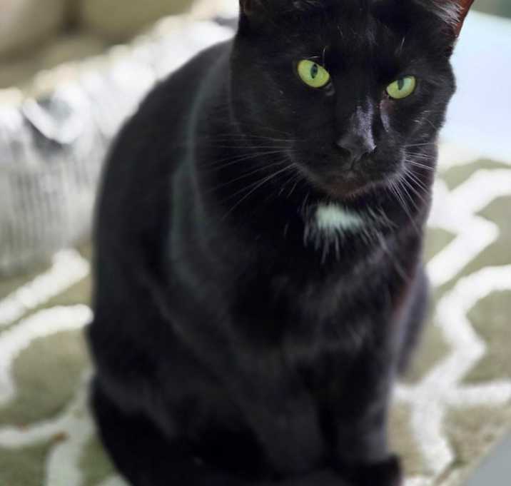 Photo of Tazzy