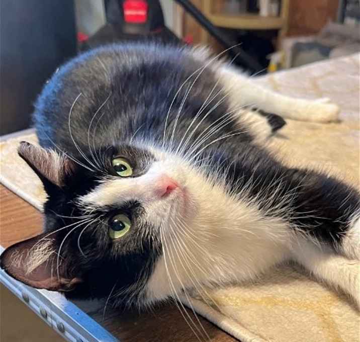 Photo of Lulu
