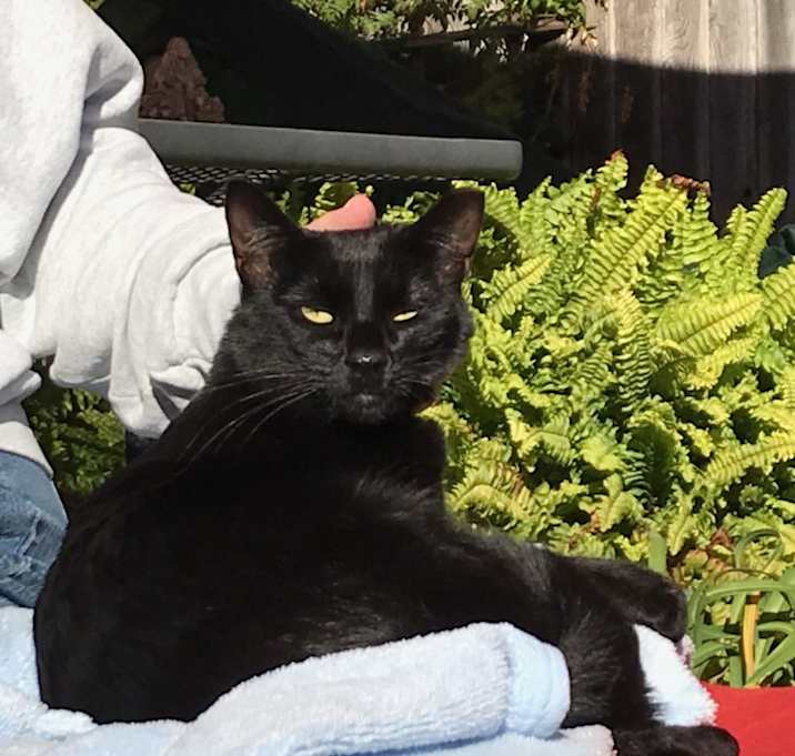 Photo of BB Snuggles