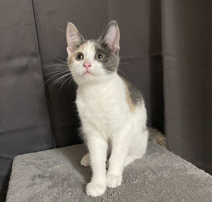 Photo of Elsa