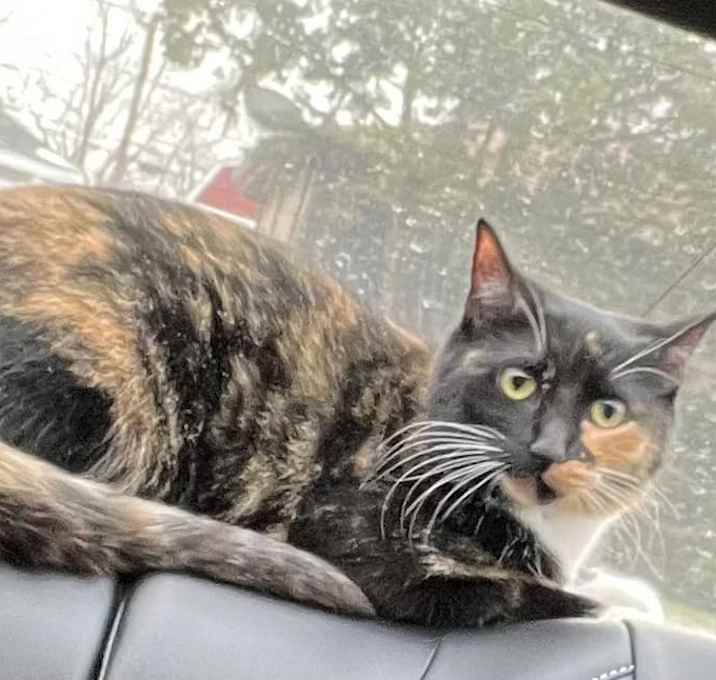 Photo of FINLEY