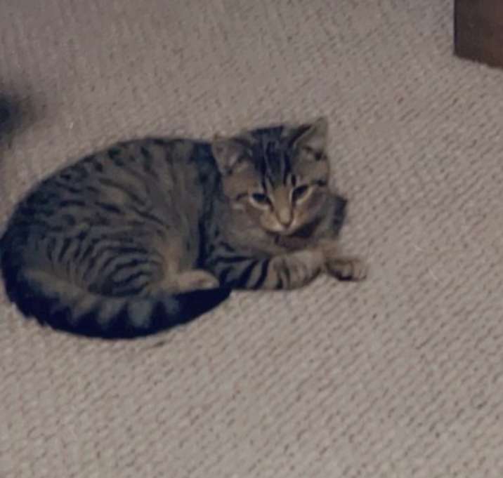 Photo of JoJo