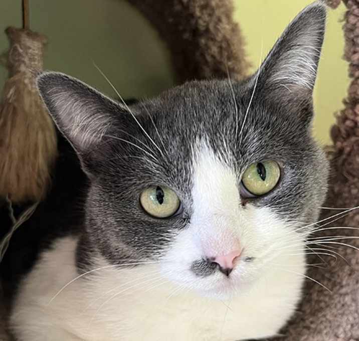 Photo of Mia