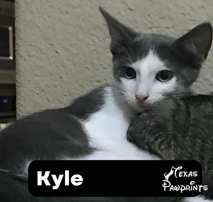Photo of Kyle