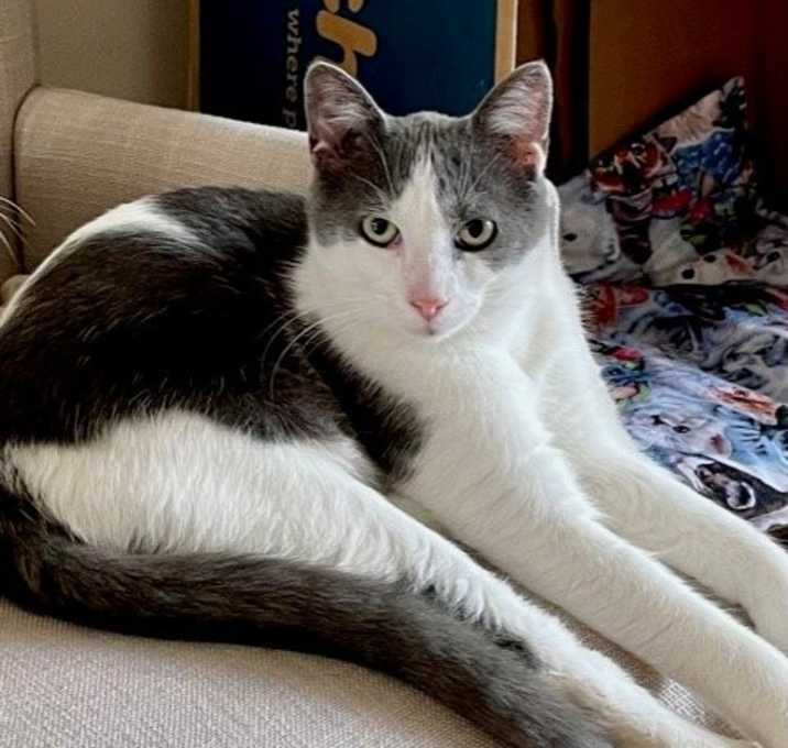 Photo of Bright