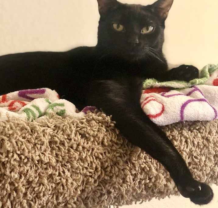 Photo of Dulce 0364