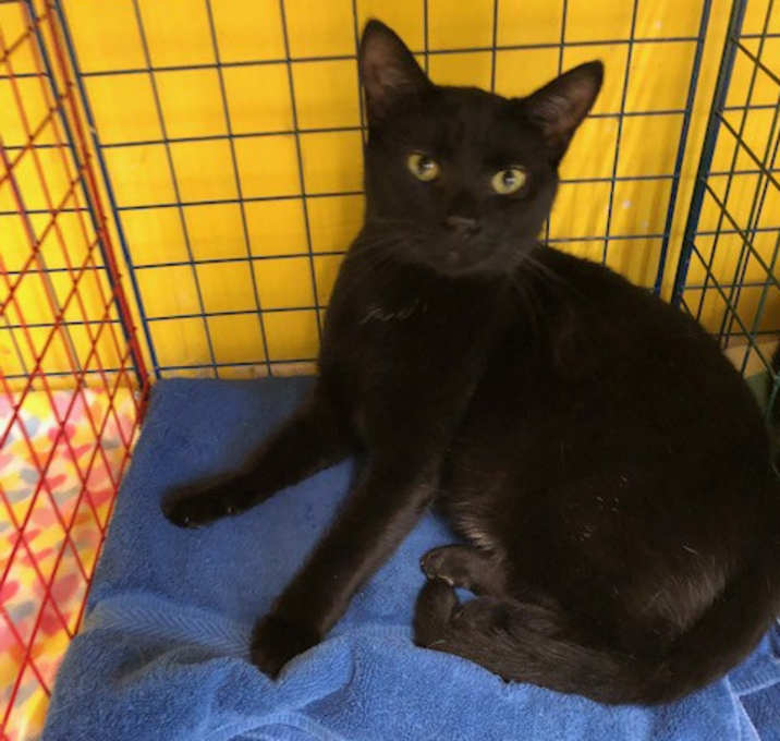 Photo of FREYA