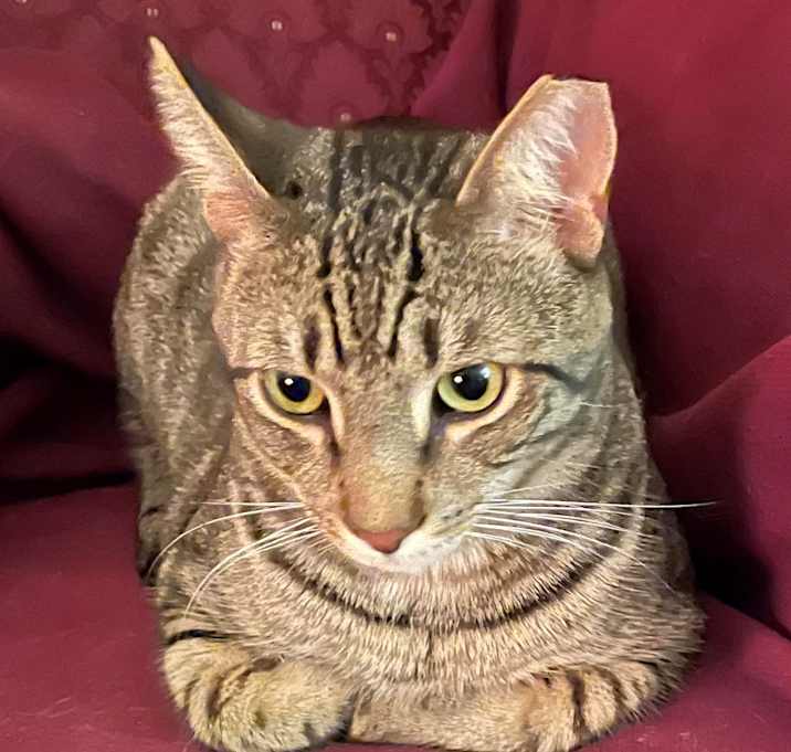 Photo of Daniel