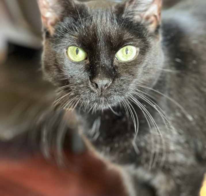 Photo of Sabrina
