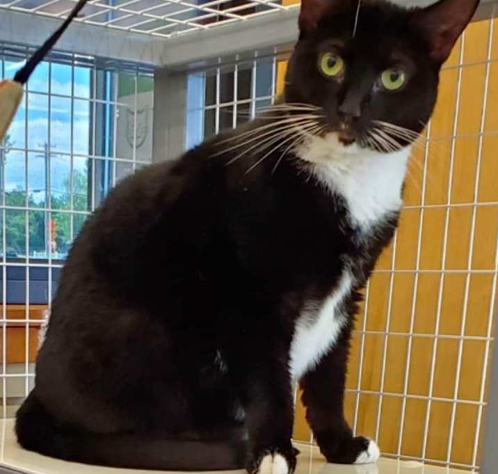 Photo of Kylo