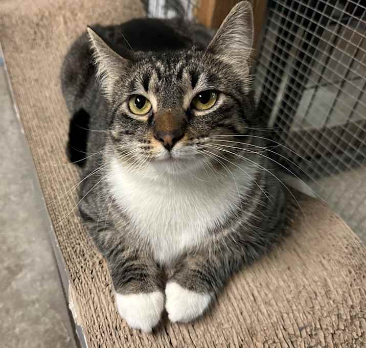 Photo of Stormy