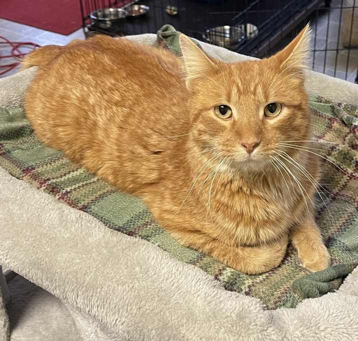 Photo of Mr. Peepers
