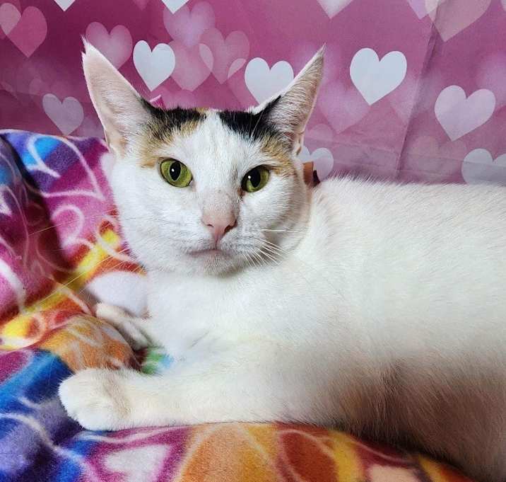 Photo of Pretty Girl