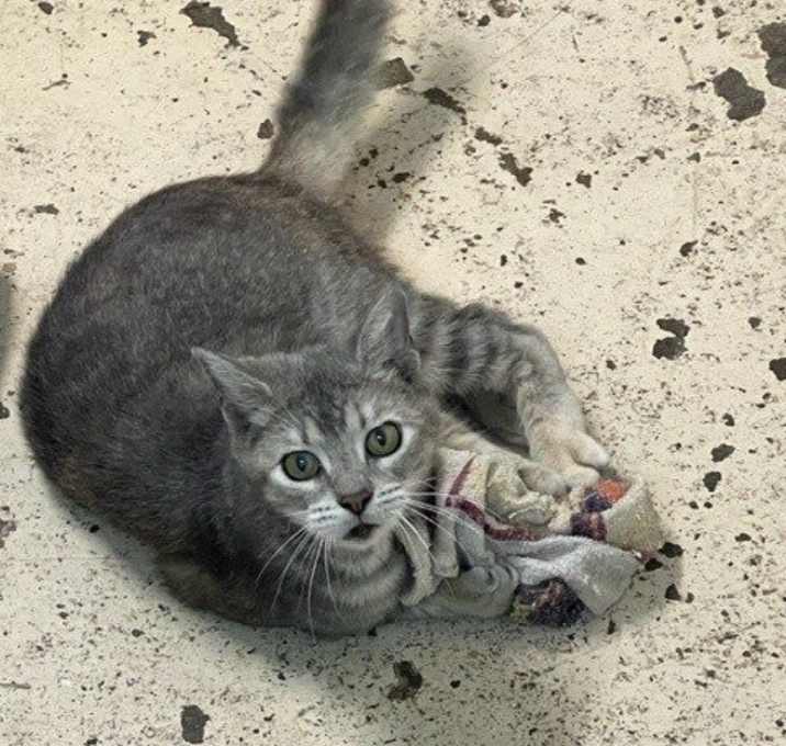Photo of ZOE