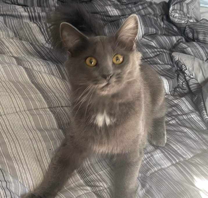 Photo of Riley