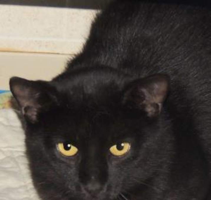 Photo of Ferris