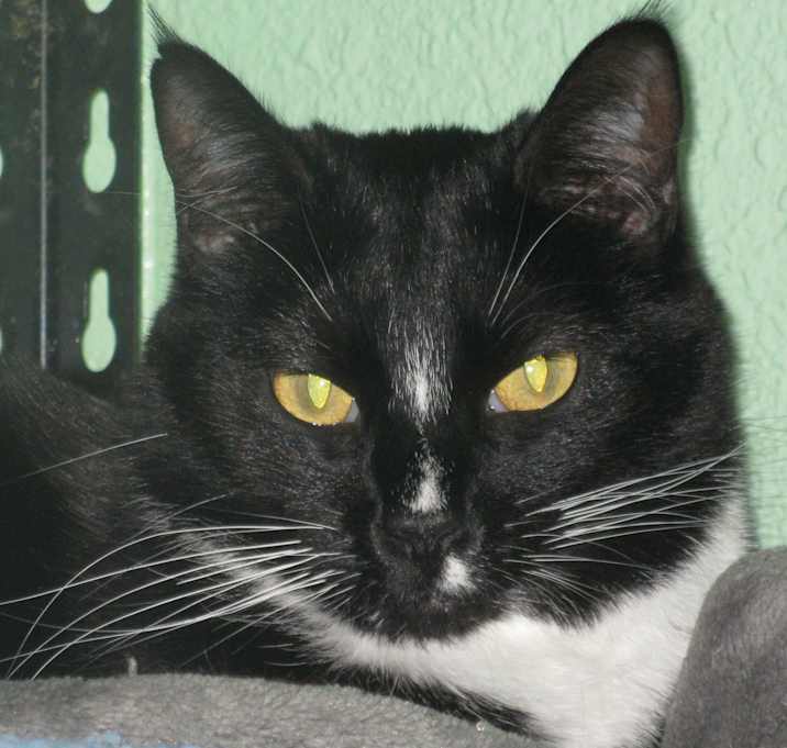 Photo of Marble