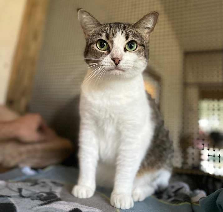 Photo of Leia
