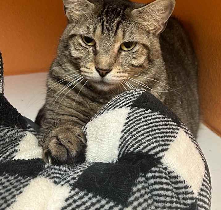 Photo of Valentina