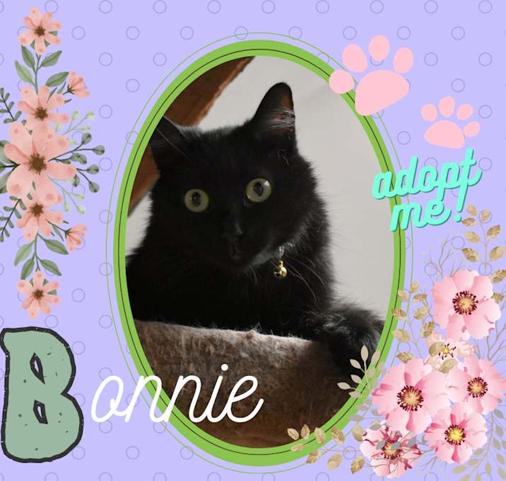 Photo of Bonnie