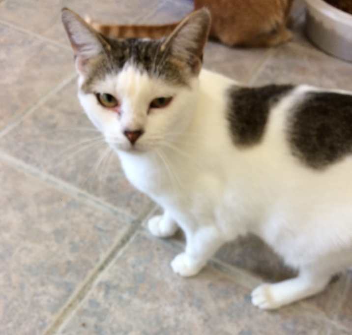 Photo of IZZY