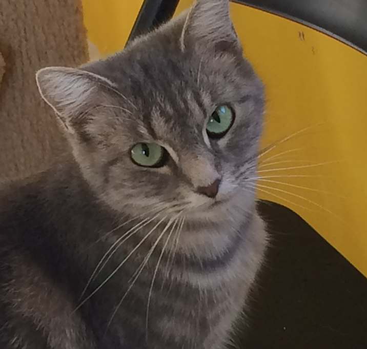 Photo of KIWI!