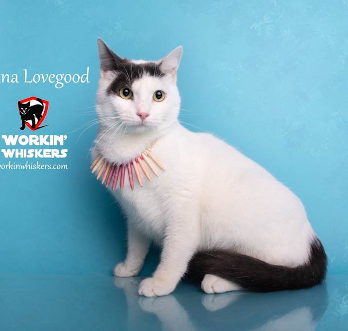 Photo of LUNA LOVEGOOD