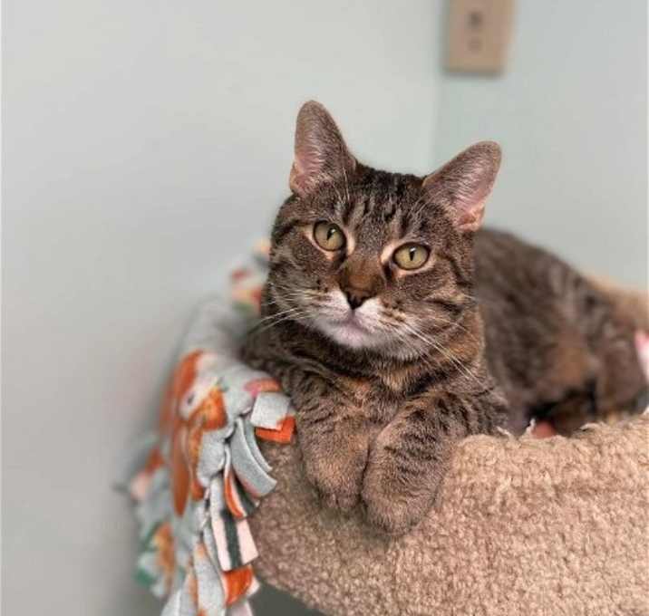 Photo of Spice