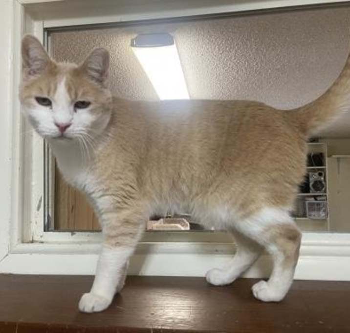 Photo of Buffy