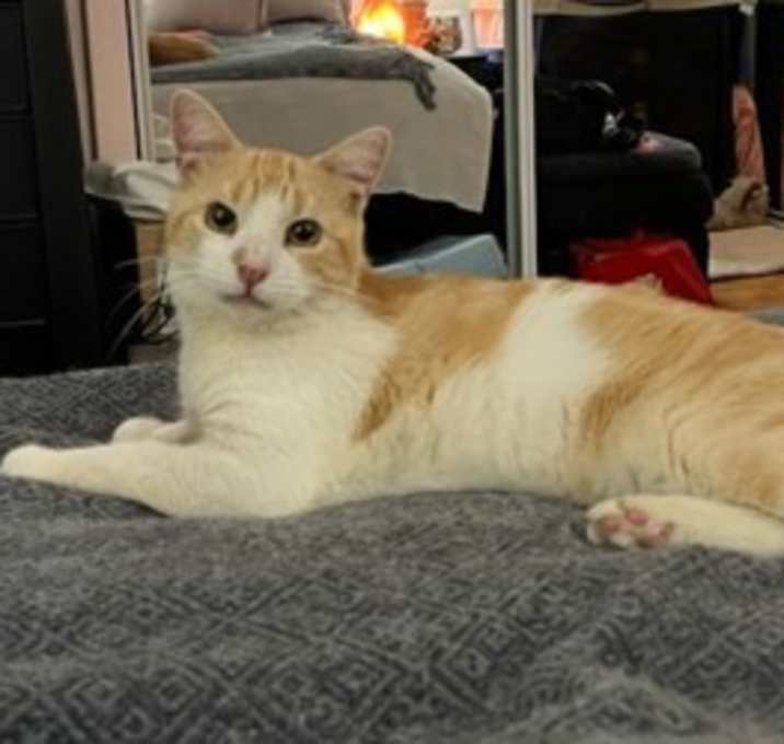 Photo of George