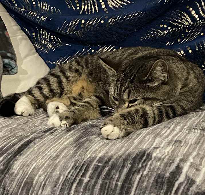 Photo of Daisy