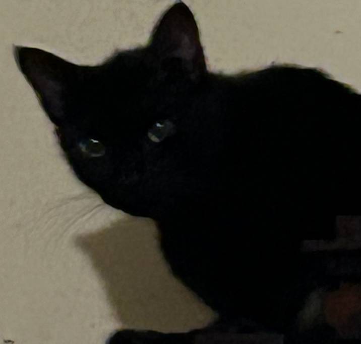 Photo of Seiko
