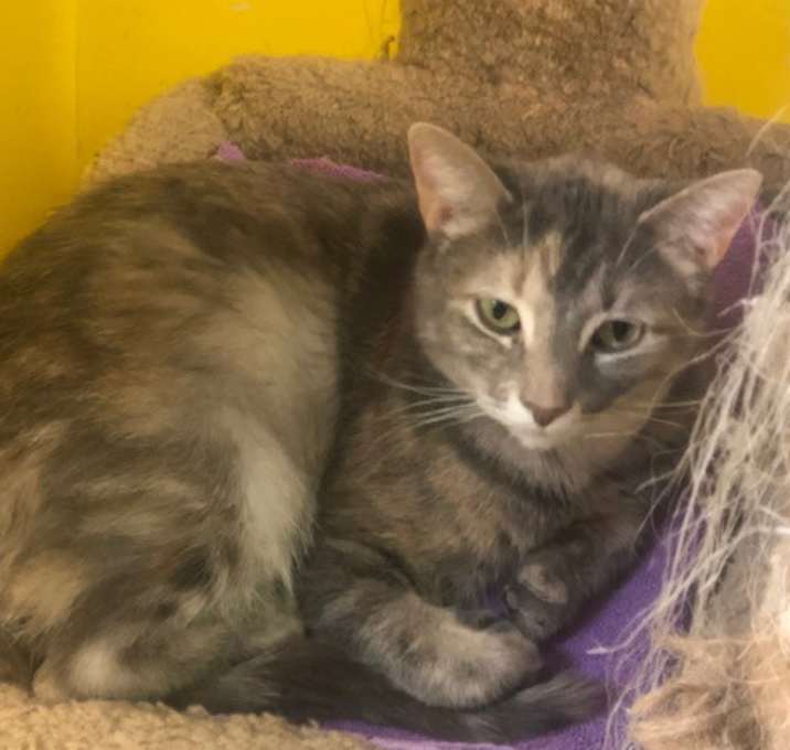 Photo of SUSIE