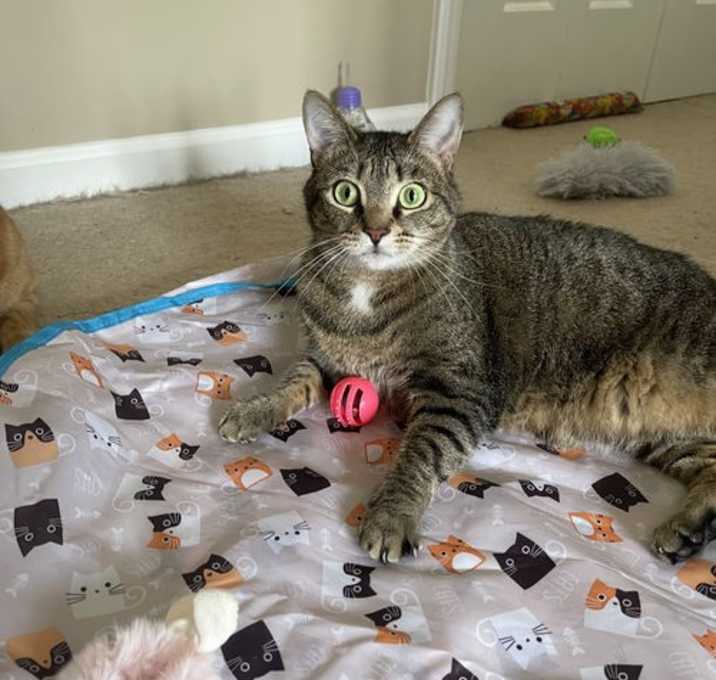 Photo of Lily