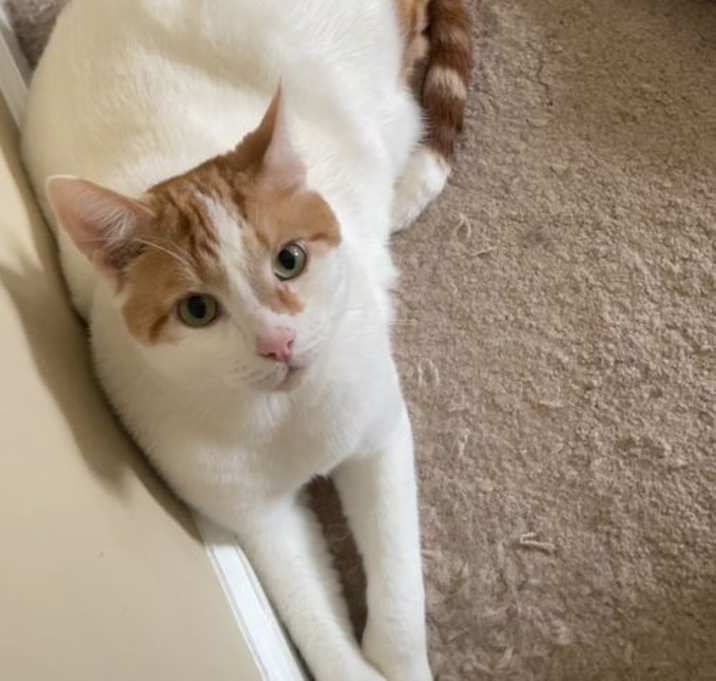 Photo of Luca