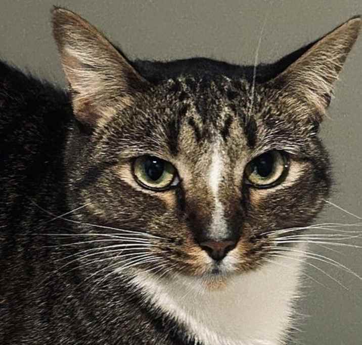 Photo of Sulu