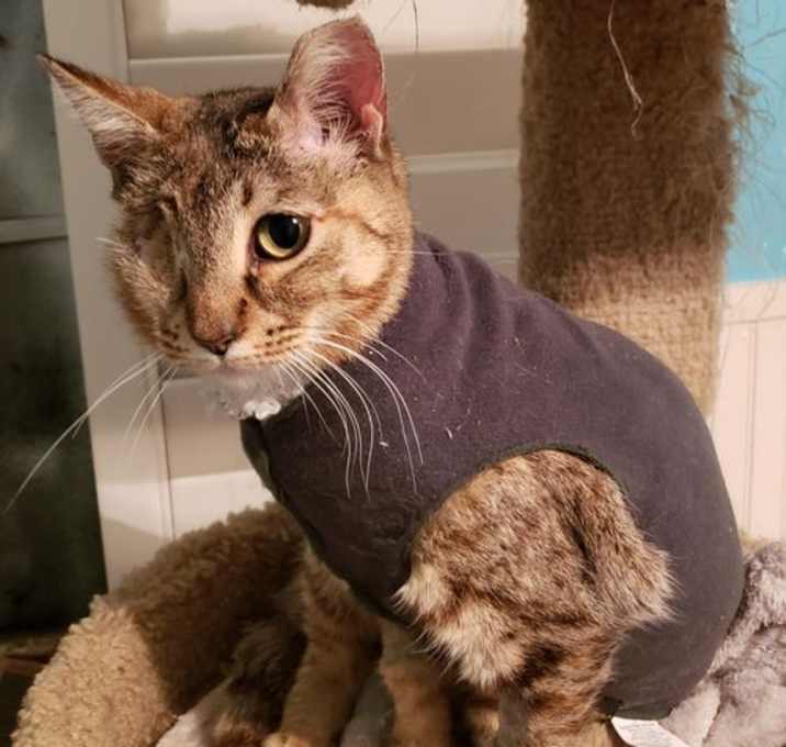 Photo of Sandy