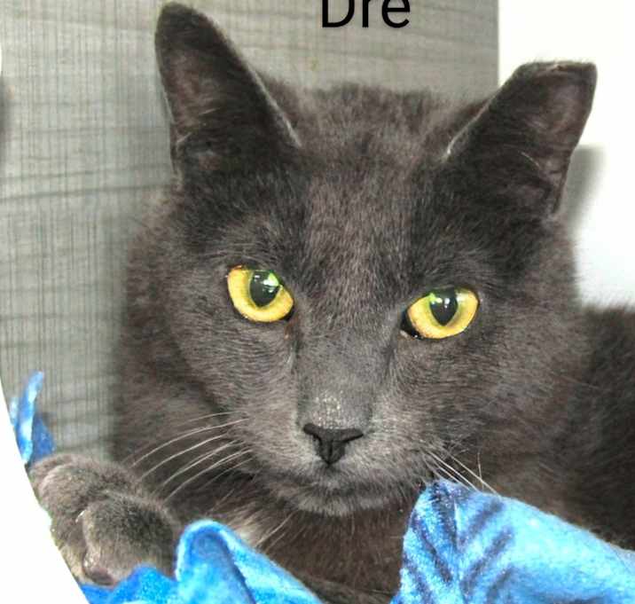Photo of Dre