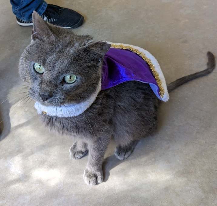 Photo of Prince Caspian