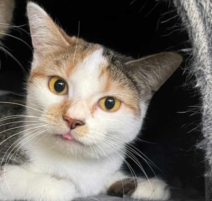 Photo of Alice