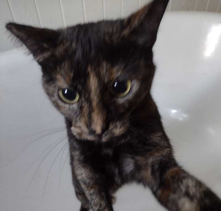 Photo of Fiona