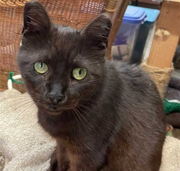 Photo of Precious