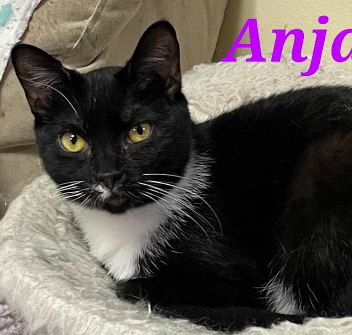 Photo of Anja