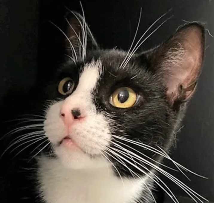 Photo of Ester