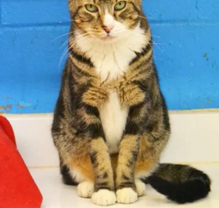 Photo of Noogie